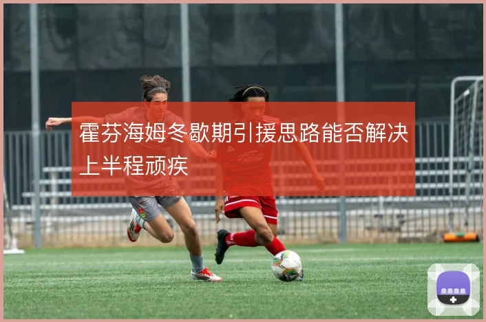 霍芬海姆冬歇期引援思路能否解决上半程顽疾